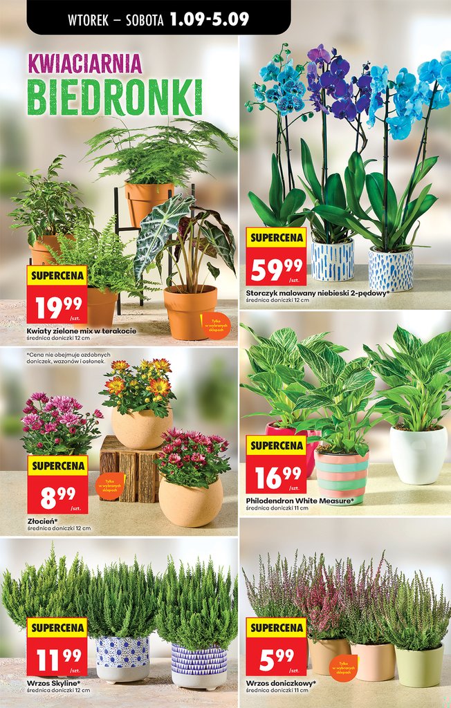 Biedronka gazetka promocyjna 01.09-03.09.2026 — strona 35 z 89