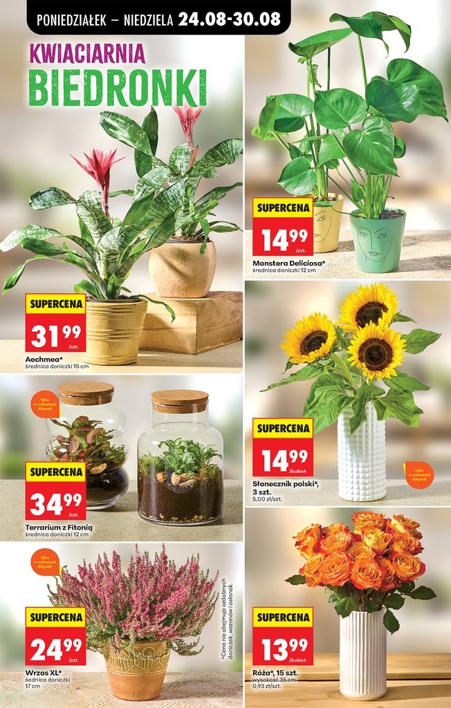 Biedronka gazetka promocyjna 24.08-30.08.2026 — strona 37 z 97