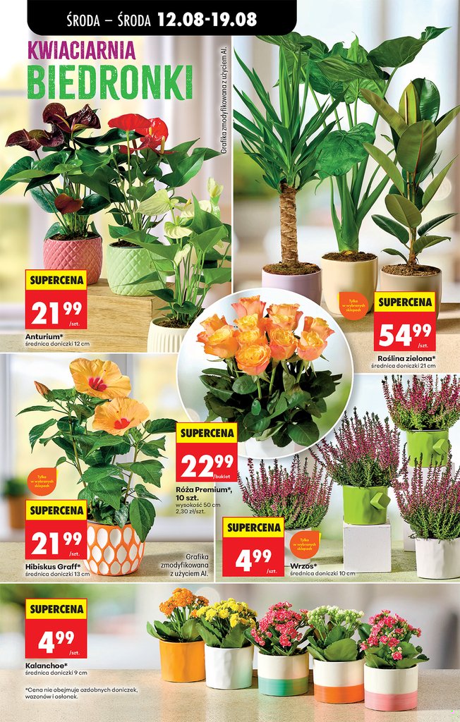 Biedronka gazetka promocyjna 12.08-19.08.2026 — strona 81 z 83