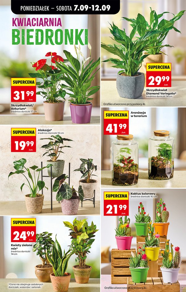 Biedronka gazetka promocyjna 07.09-12.09.2026 — strona 19 z 86