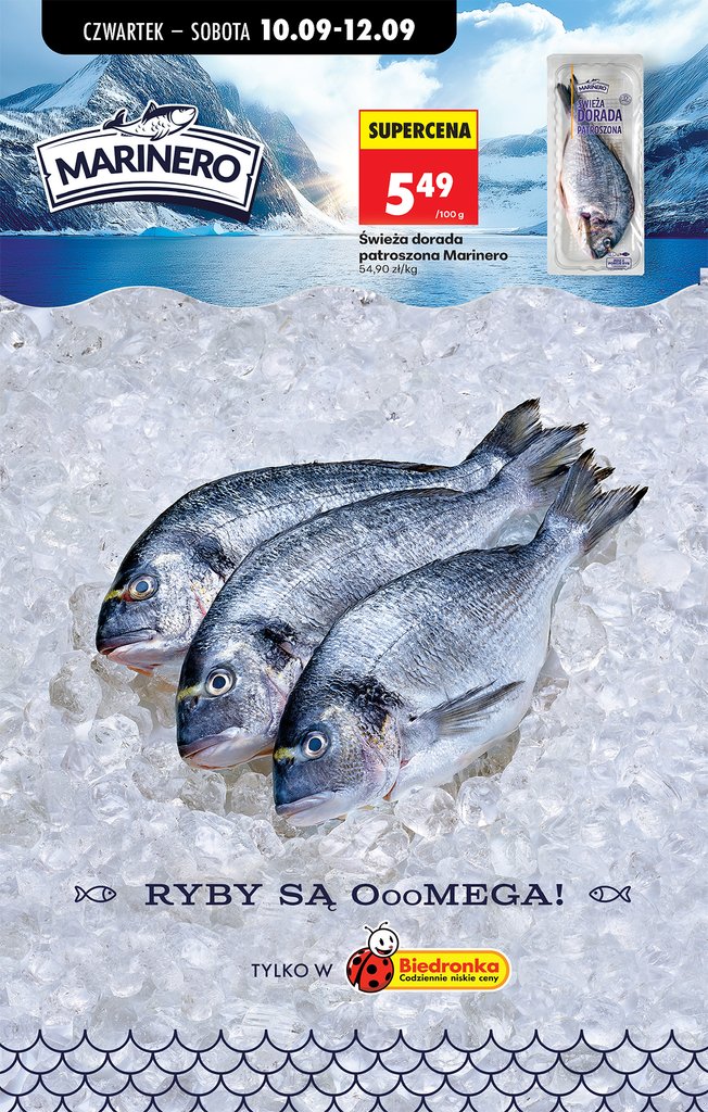Biedronka gazetka promocyjna 10.09-16.09.2026 — strona 33 z 95