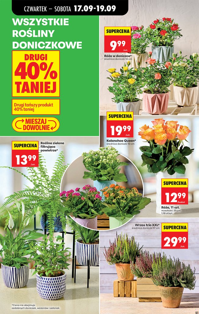 Biedronka gazetka promocyjna 17.09-23.09.2026 — strona 36 z 86