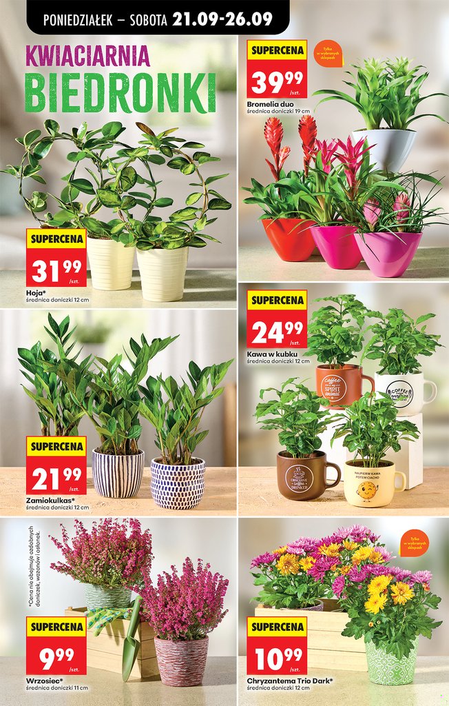 Biedronka gazetka promocyjna 21.09-26.09.2026 — strona 64 z 109