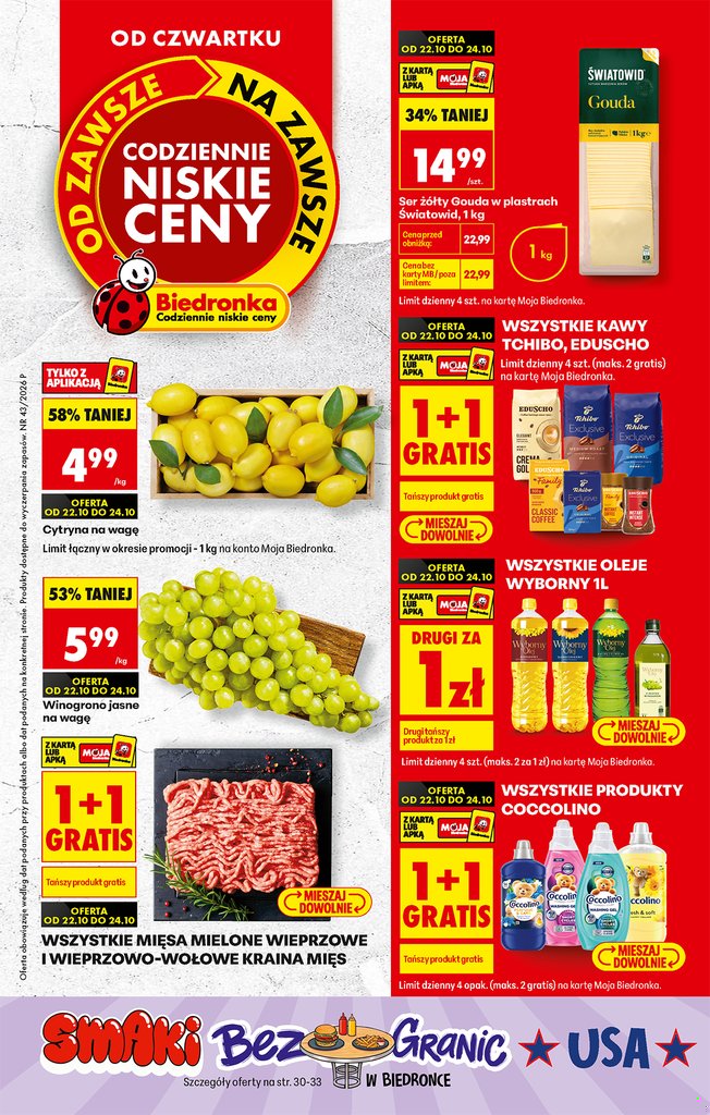 Biedronka gazetka promocyjna 22.10-28.10.2026 — strona 1 z 81