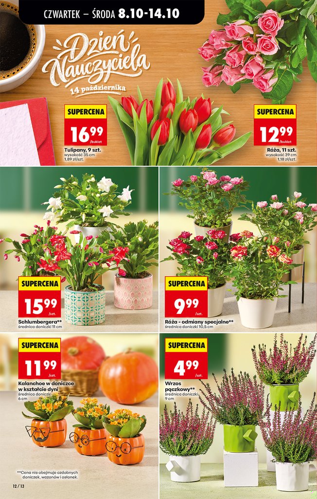 Biedronka gazetka promocyjna 08.10-14.10.2026 — strona 16 z 82