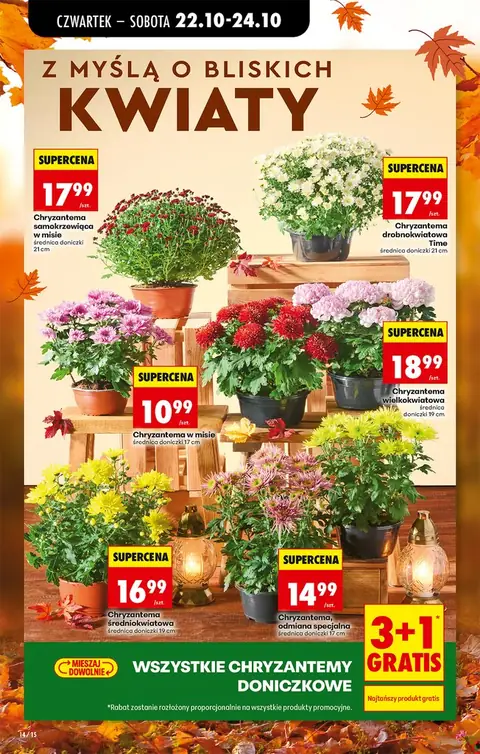 Biedronka gazetka promocyjna 22.10-28.10.2026 — strona 18 z 75