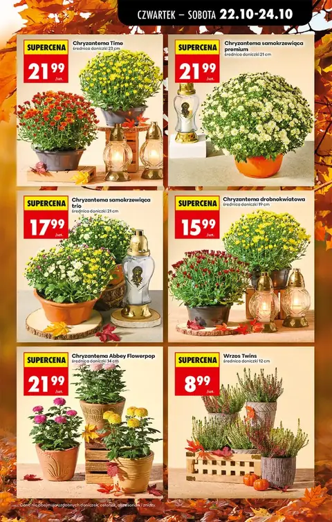 Biedronka gazetka promocyjna 22.10-28.10.2026 — strona 19 z 75
