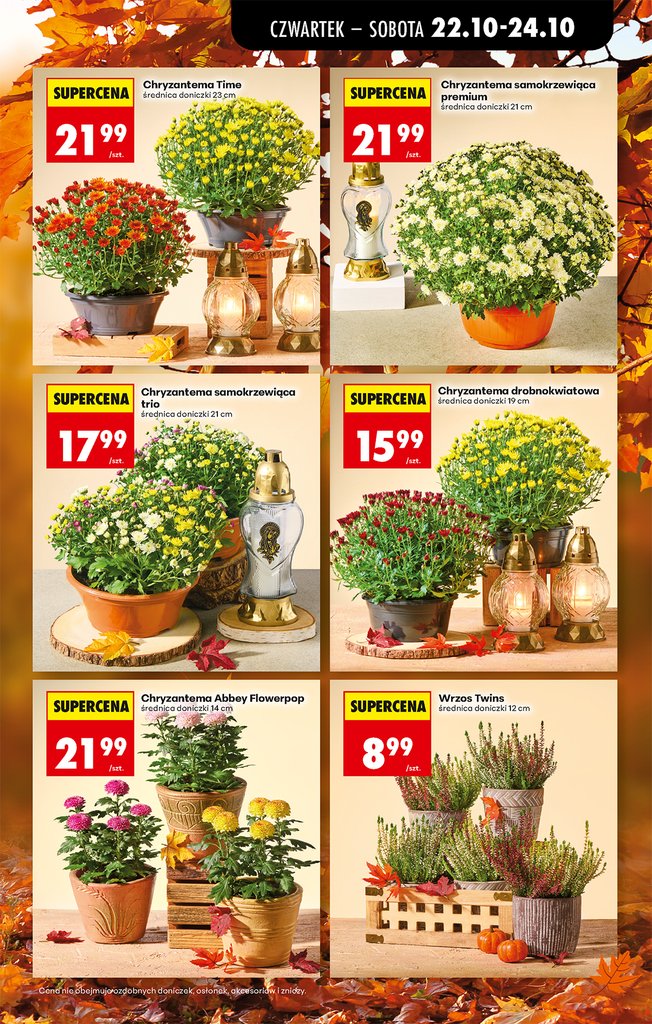 Biedronka gazetka promocyjna 22.10-28.10.2026 — strona 19 z 81