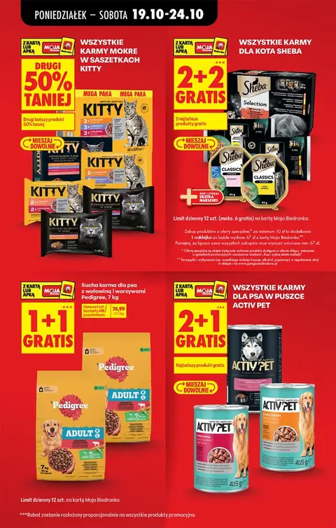 Biedronka gazetka promocyjna 19.10-24.10.2026 — strona 19 z 93