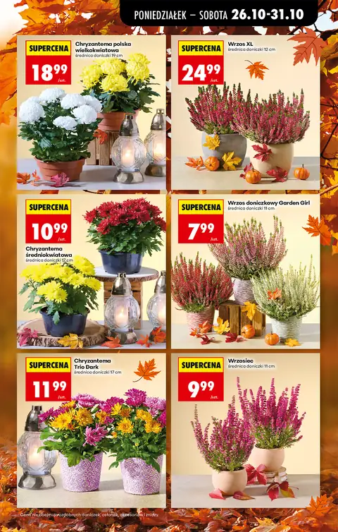 Biedronka gazetka promocyjna 26.10-31.10.2026 — strona 21 z 92