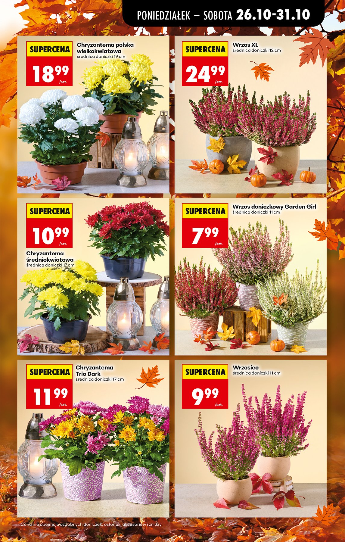 Biedronka gazetka promocyjna 26.10-31.10.2026 — strona 21 z 97