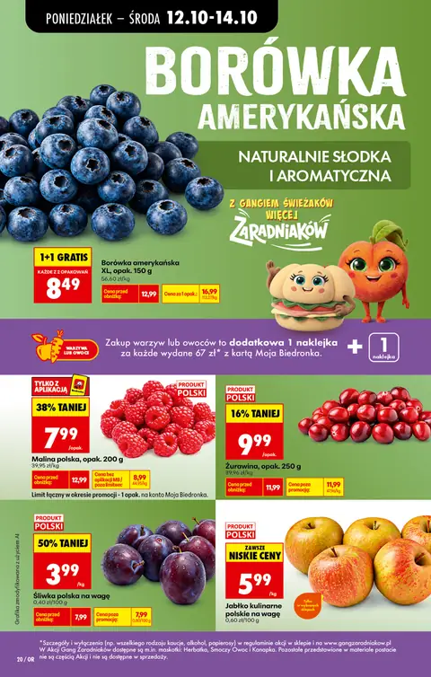 Biedronka gazetka promocyjna 12.10-17.10.2026 — strona 26