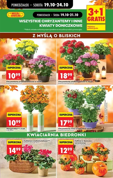 Biedronka gazetka promocyjna 19.10-24.10.2026 — strona 27 z 93