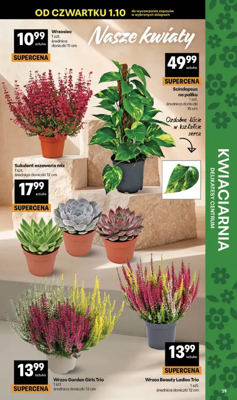 Delikatesy Centrum gazetka promocyjna 01.10-07.10.2026 — strona 39 z 40