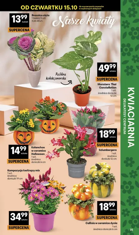 Delikatesy Centrum gazetka promocyjna 15.10-21.10.2026 — strona 35 z 40