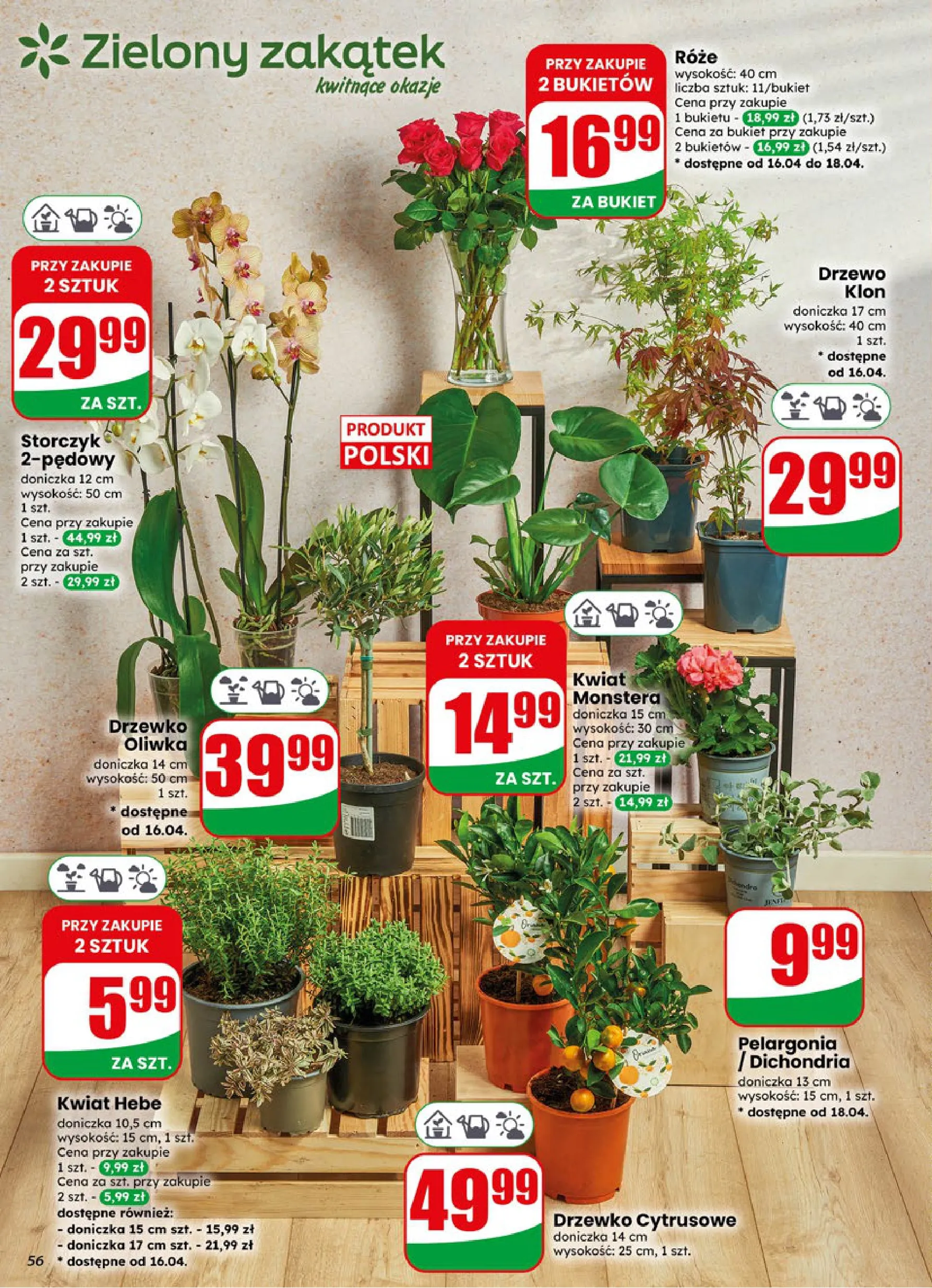 Dino gazetka promocyjna 22.04-28.04.2026 — strona 56 z 76