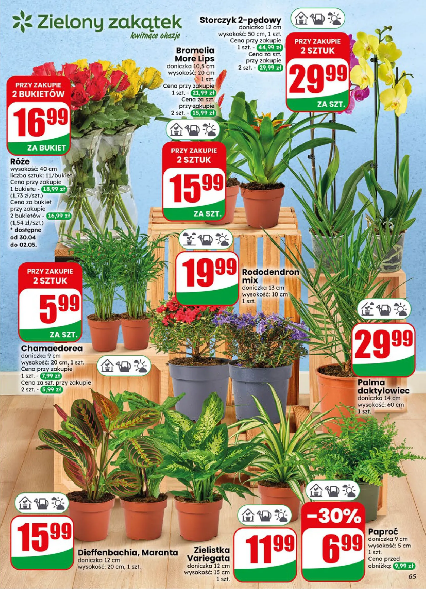 Dino gazetka promocyjna 29.04-05.05.2026 — strona 63 z 76