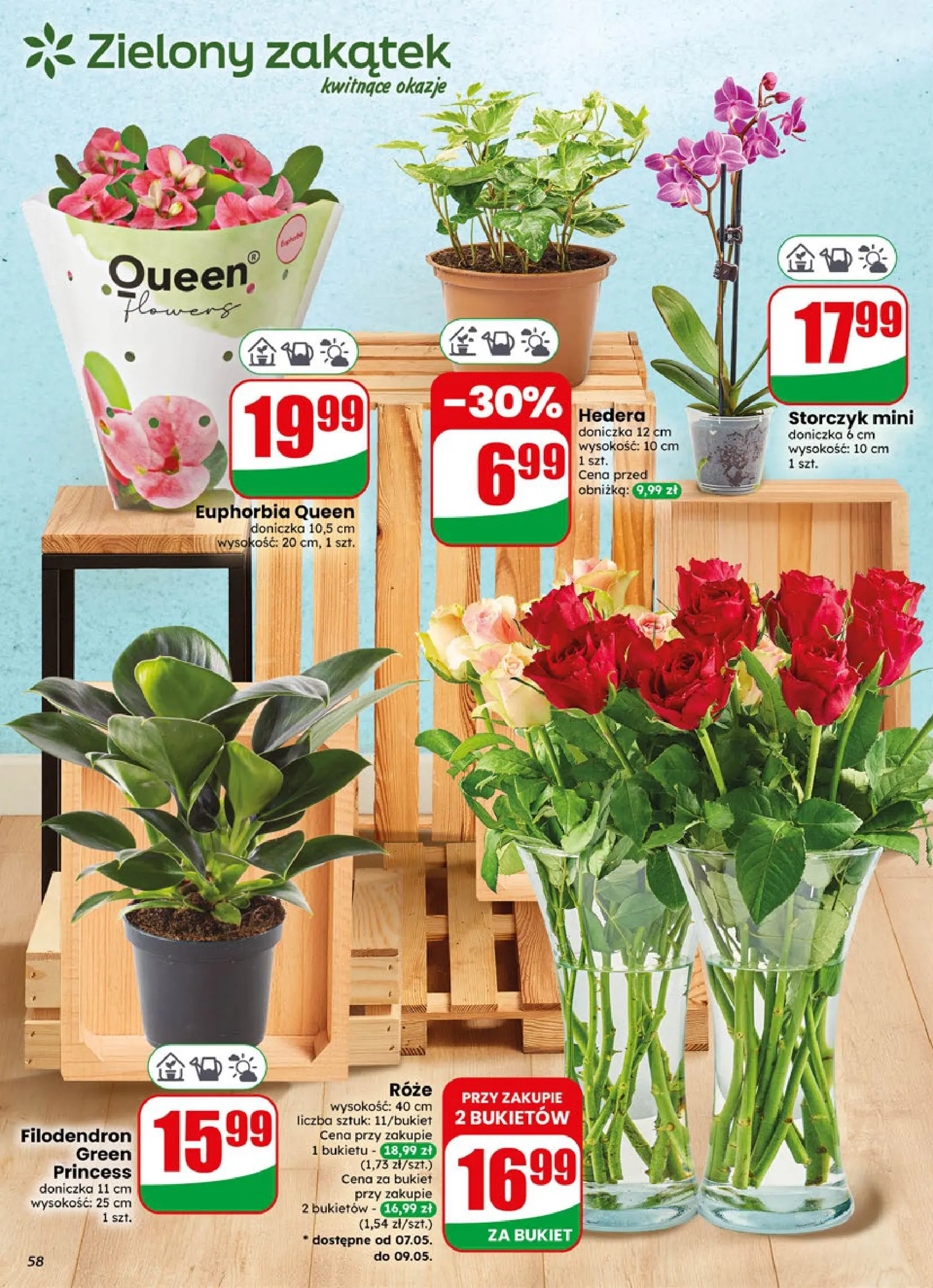 Dino gazetka promocyjna 06.05-12.05.2026 — strona 57 z 72