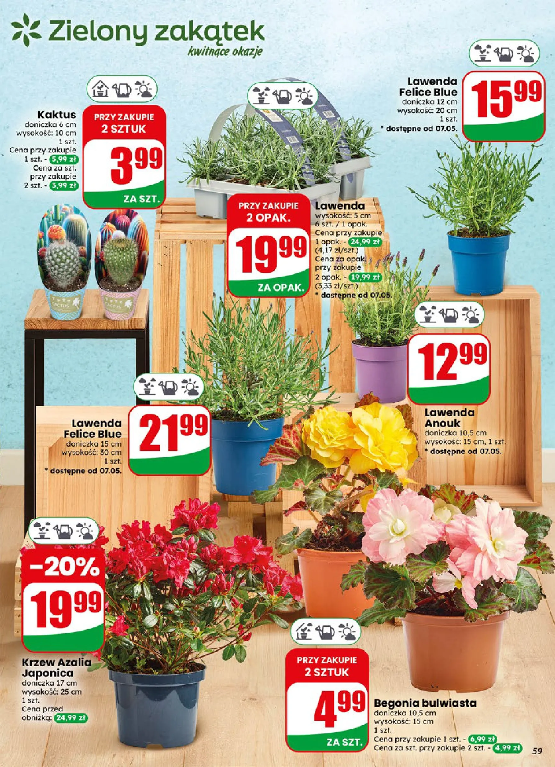 Dino gazetka promocyjna 06.05-12.05.2026 — strona 58 z 72