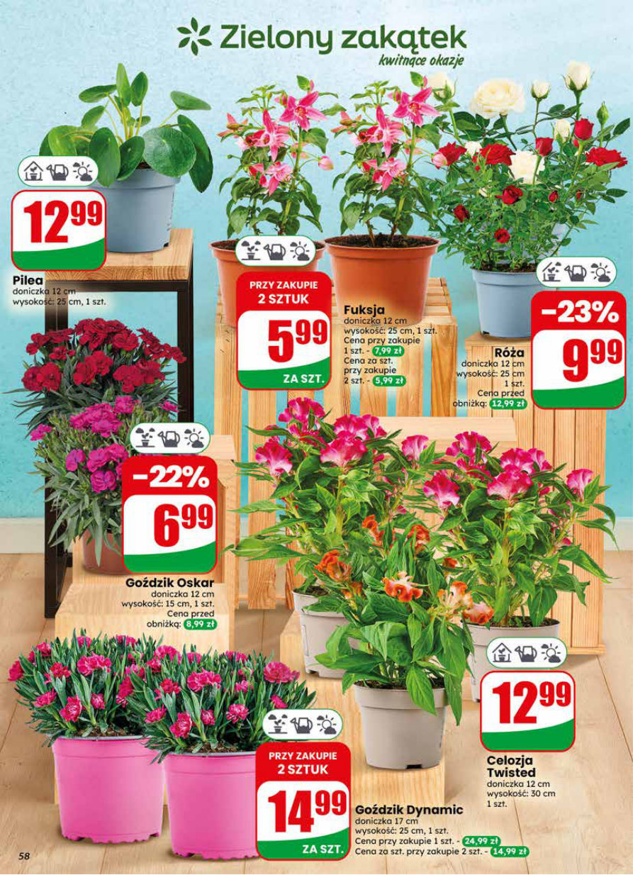 Dino gazetka promocyjna 27.05-02.06.2026 — strona 58 z 64