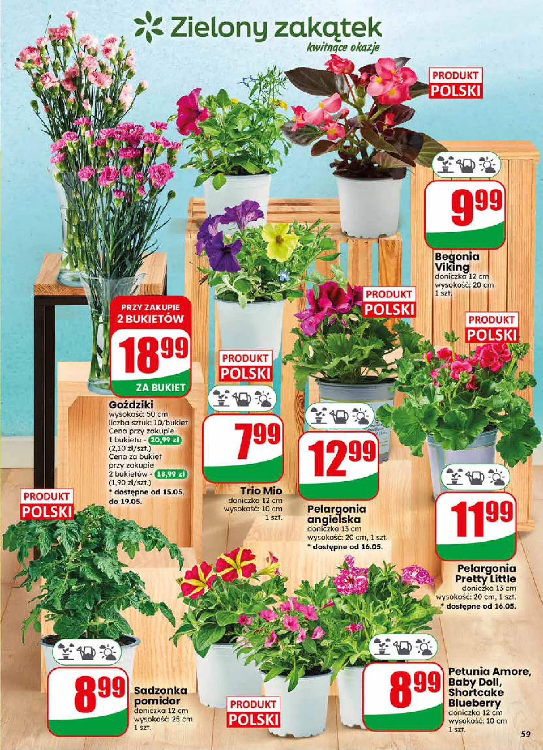 Dino gazetka promocyjna 13.05-19.05.2026 — strona 59 z 76