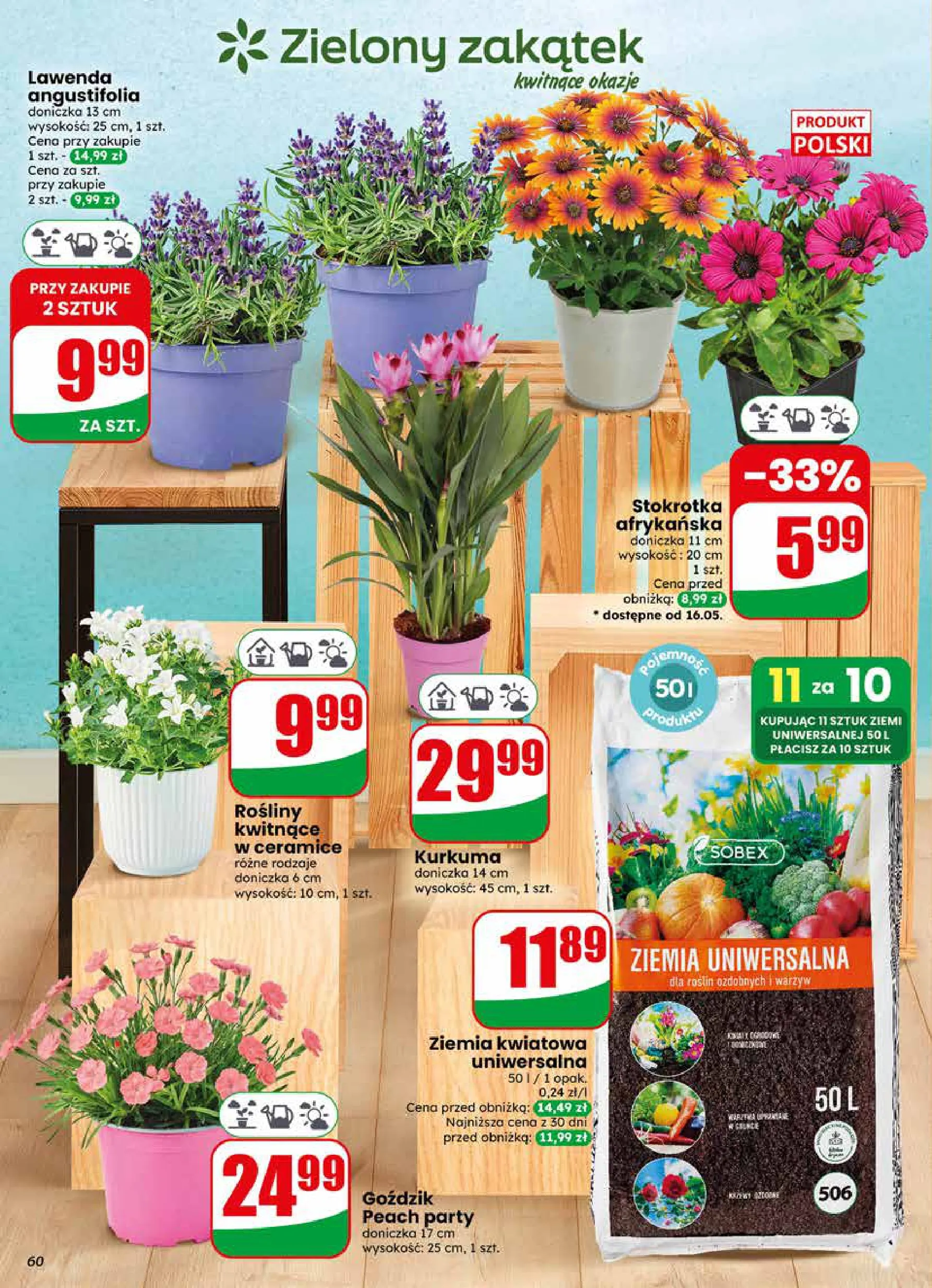 Dino gazetka promocyjna 13.05-19.05.2026 — strona 60 z 76