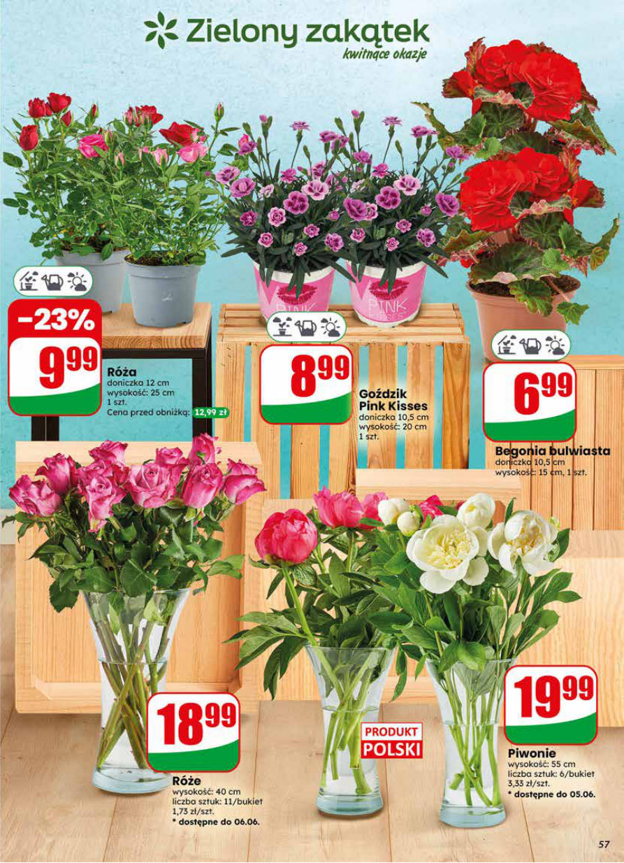 Dino gazetka promocyjna 03.06-09.06.2026 — strona 57 z 75