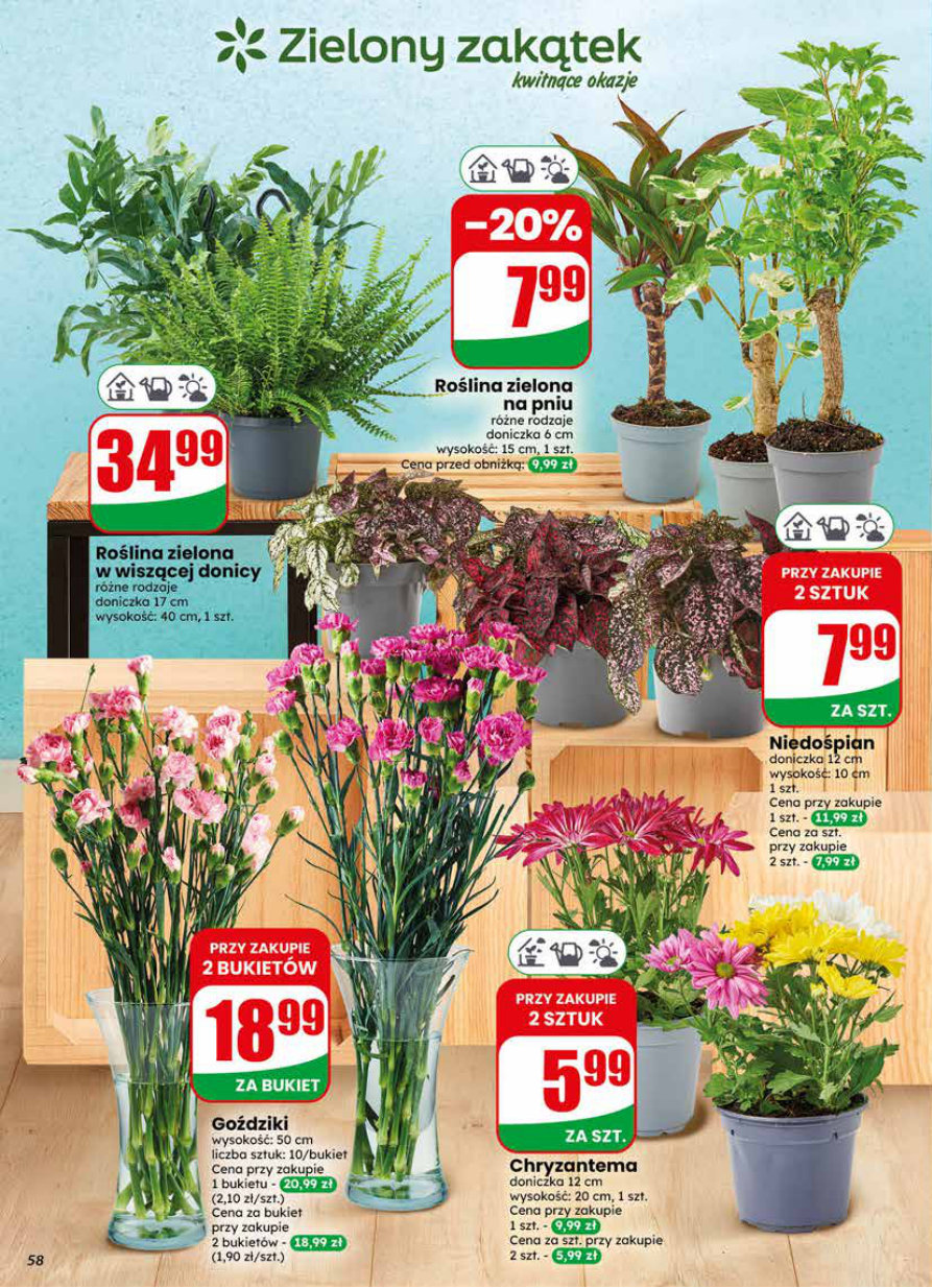 Dino gazetka promocyjna 03.06-09.06.2026 — strona 58 z 75