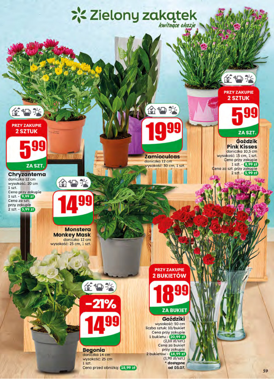 Dino gazetka promocyjna 01.07-07.07.2026 — strona 59 z 81
