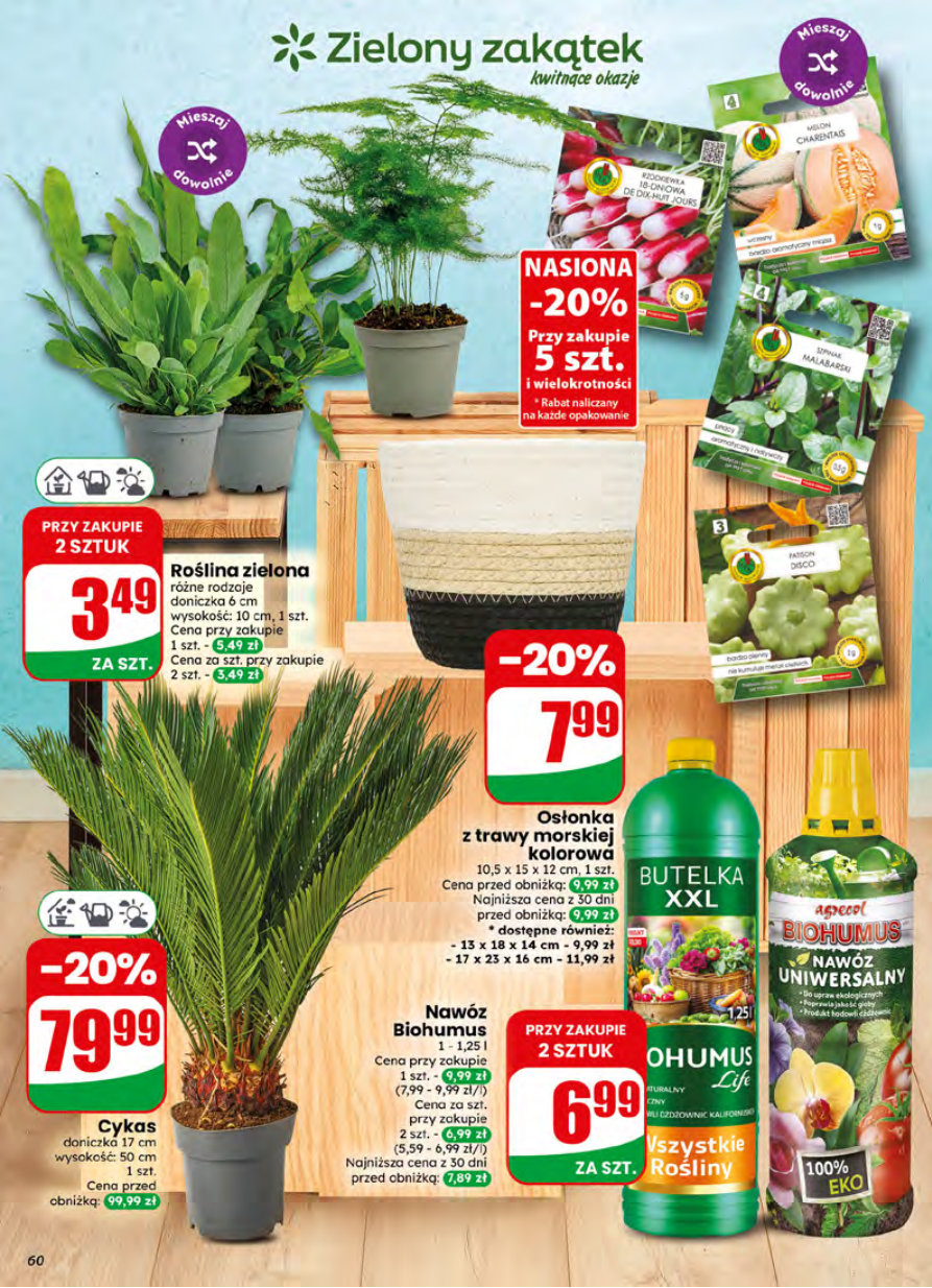 Dino gazetka promocyjna 01.07-07.07.2026 — strona 60 z 81