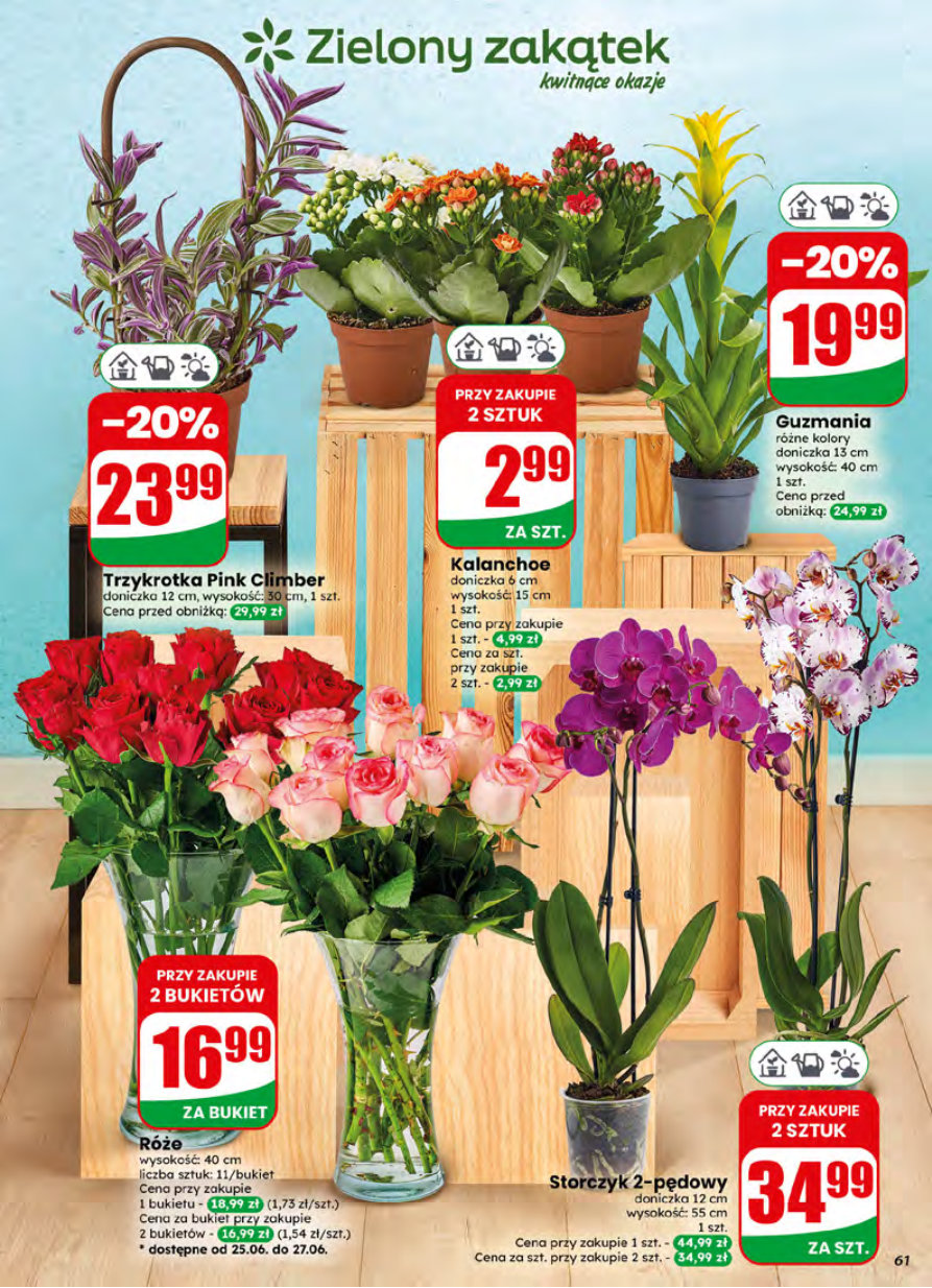Dino gazetka promocyjna 24.06-30.06.2026 — strona 61 z 79