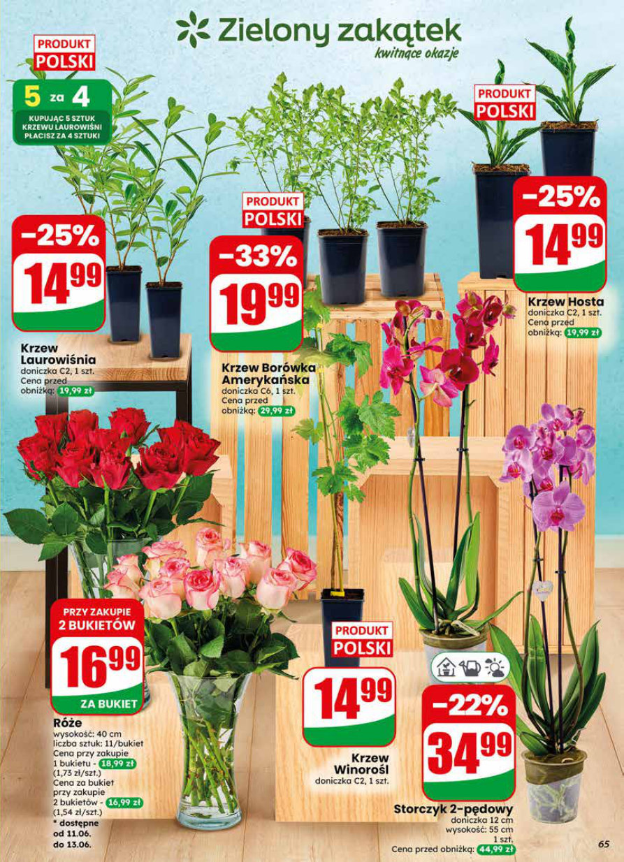 Dino gazetka promocyjna 10.06-16.06.2026 — strona 65 z 79