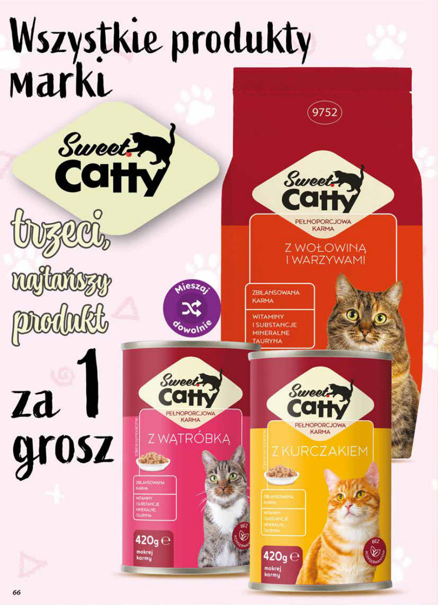 Dino gazetka promocyjna 03.06-09.06.2026 — strona 66 z 75