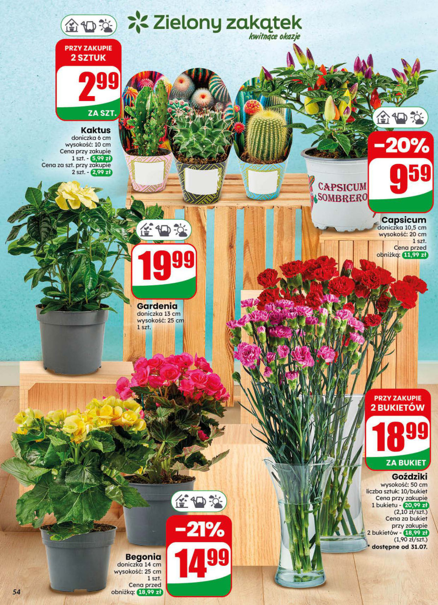 Dino gazetka promocyjna 29.07-04.08.2026 — strona 54 z 73
