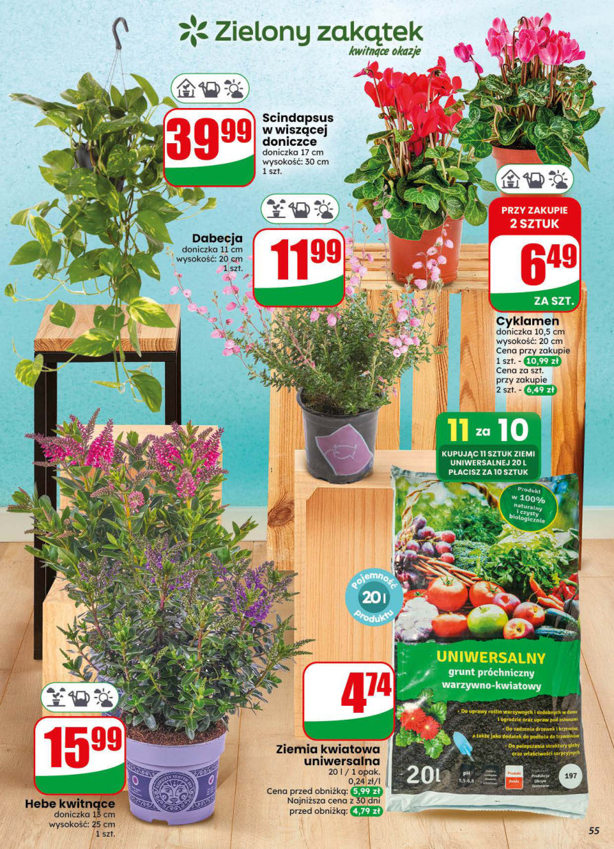 Dino gazetka promocyjna 29.07-04.08.2026 — strona 55 z 73