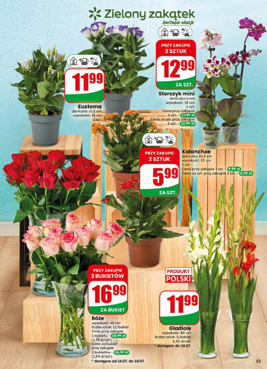 Dino gazetka promocyjna 15.07-21.07.2026 — strona 55 z 76