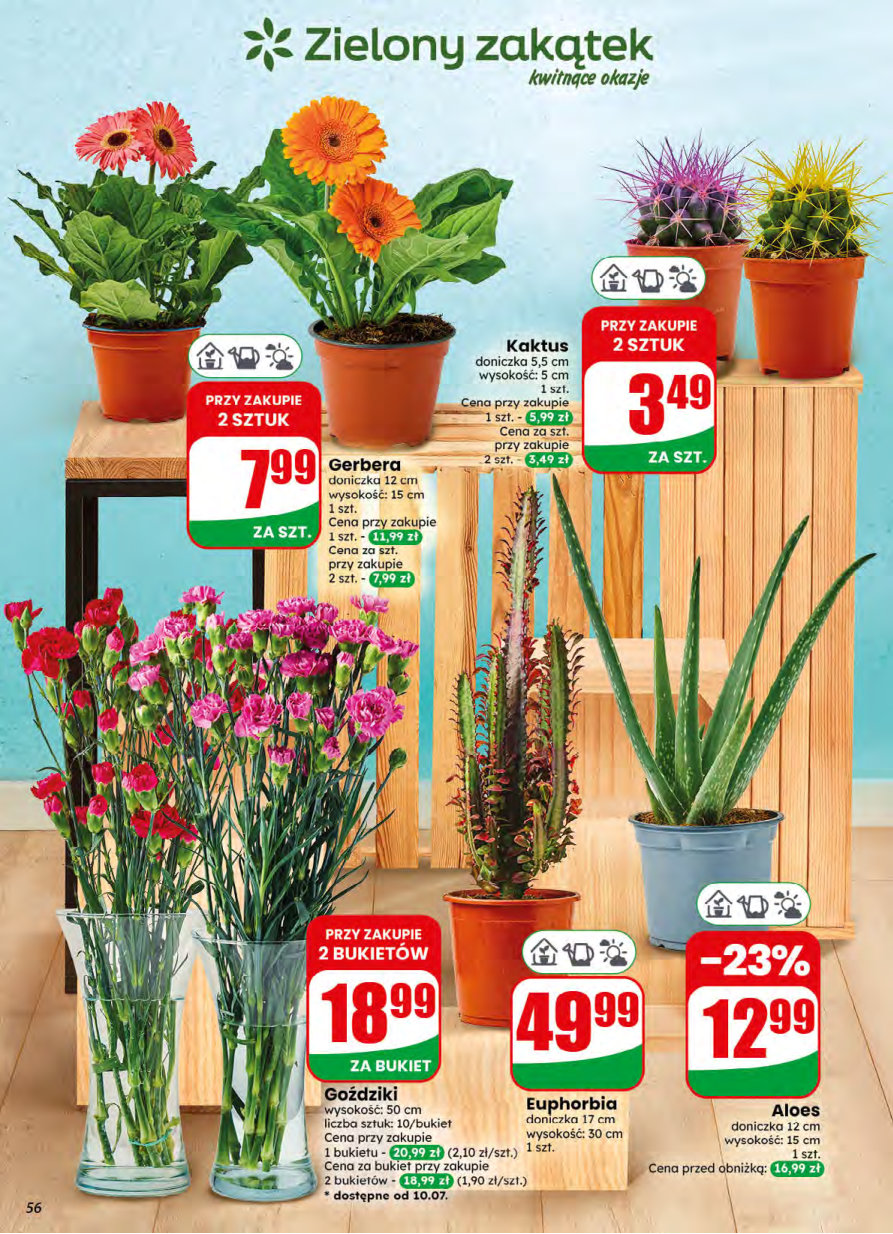 Dino gazetka promocyjna 08.07-14.07.2026 — strona 56 z 76