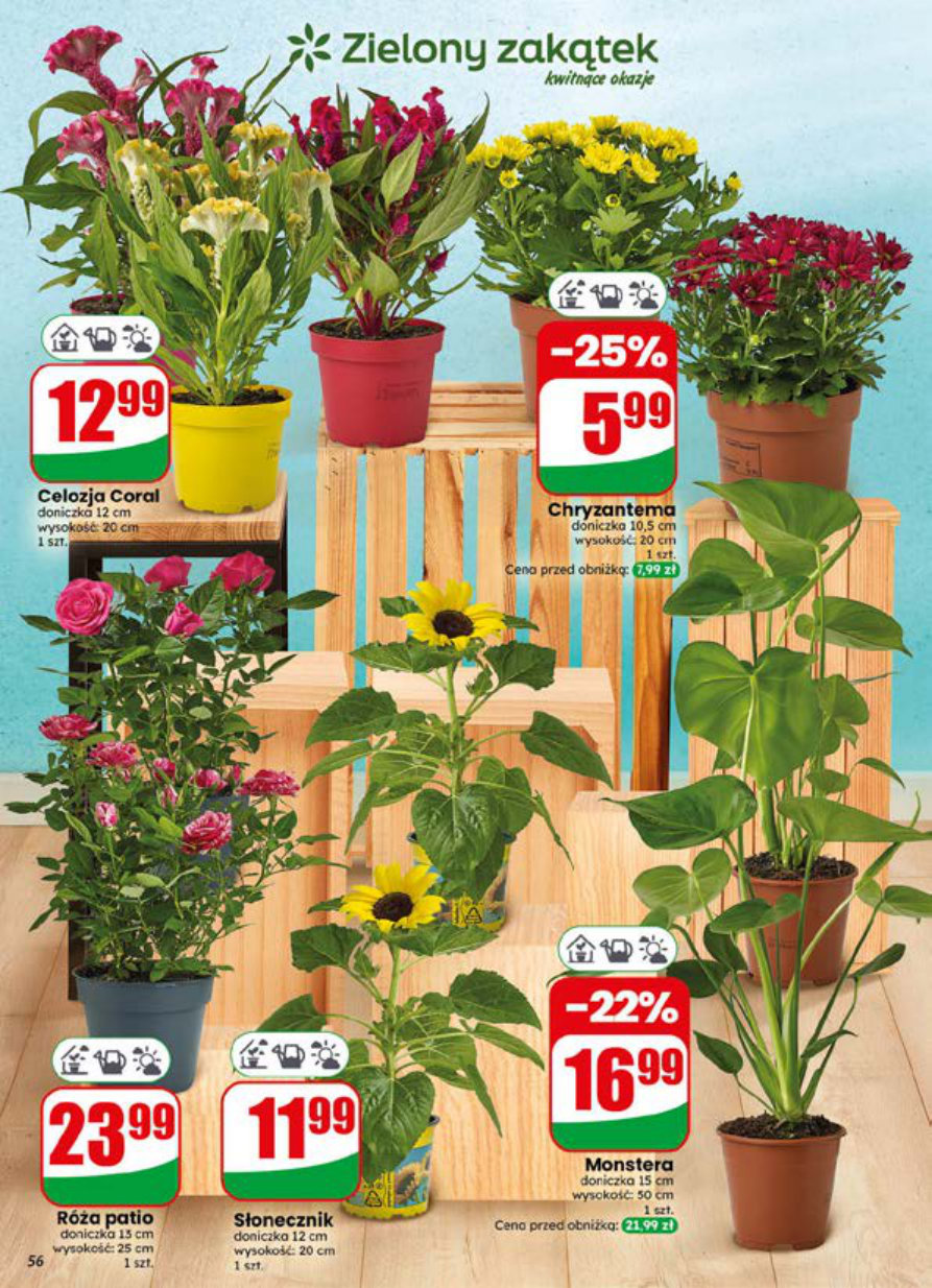 Dino gazetka promocyjna 15.07-21.07.2026 — strona 56 z 76