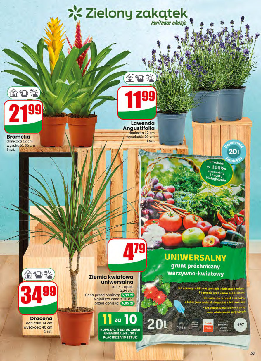 Dino gazetka promocyjna 08.07-14.07.2026 — strona 57 z 76