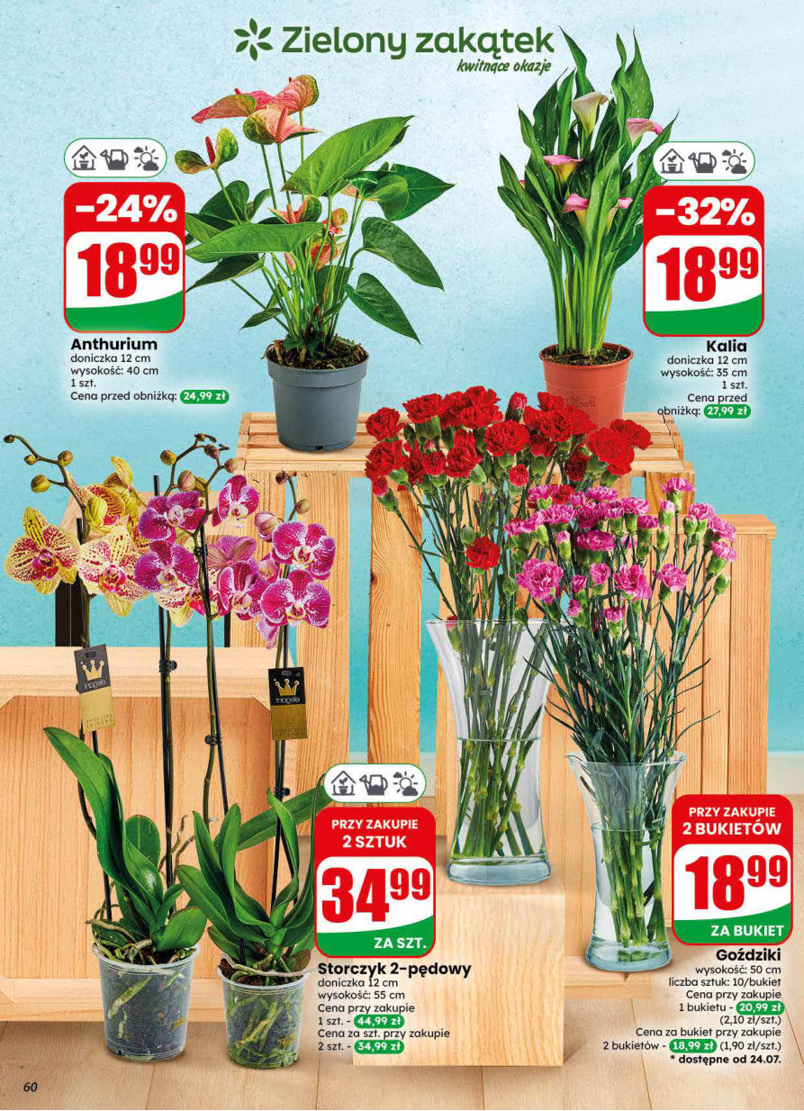 Dino gazetka promocyjna 22.07-28.07.2026 — strona 60 z 78