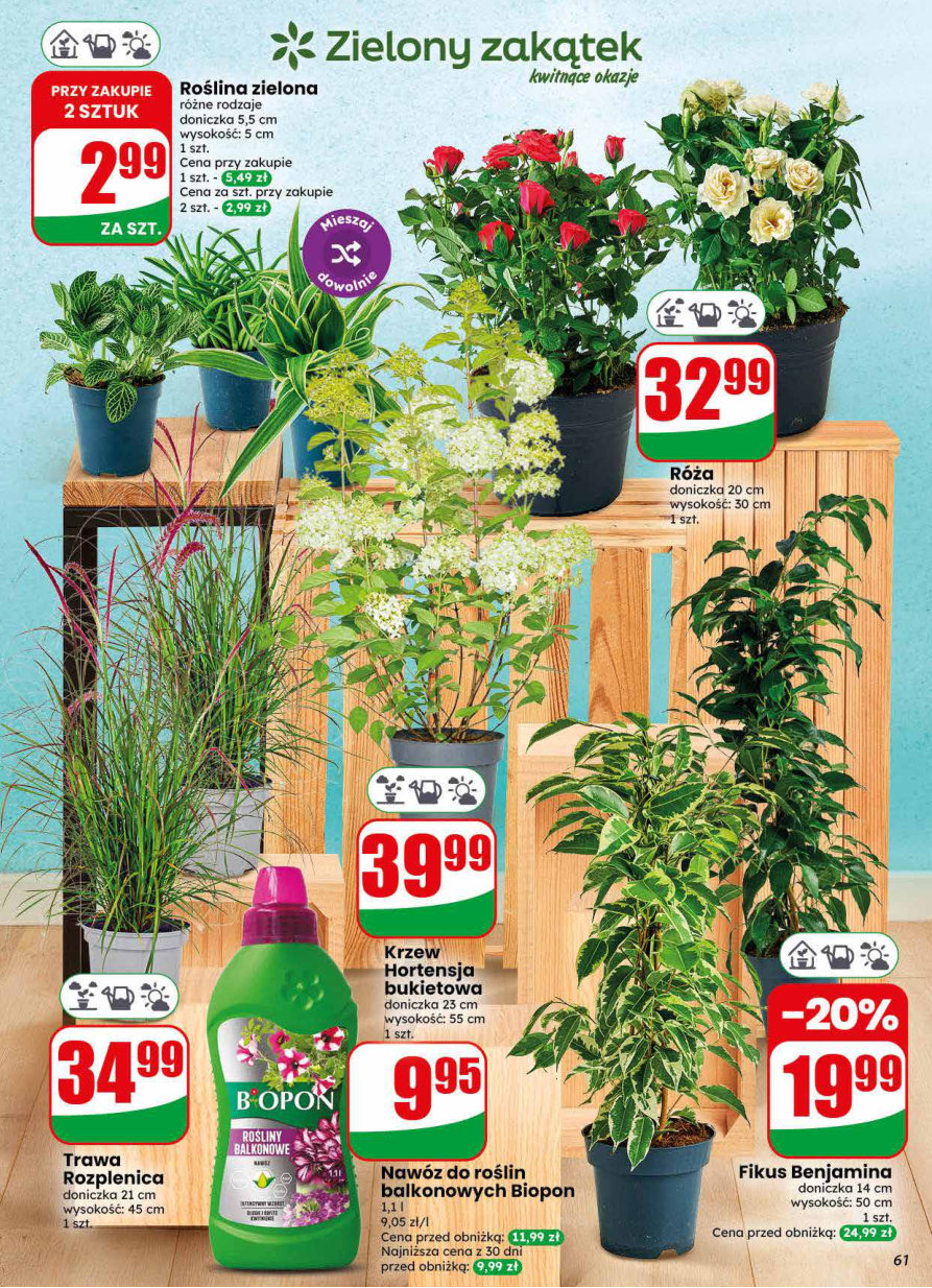 Dino gazetka promocyjna 22.07-28.07.2026 — strona 61 z 78