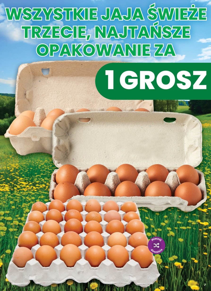 Dino gazetka promocyjna 21.08-22.08.2026 — strona 7 z 11