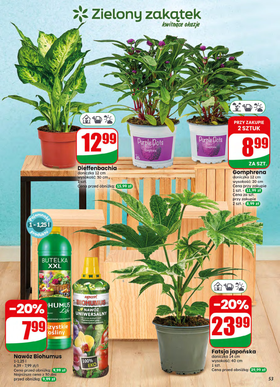 Dino gazetka promocyjna 05.08-11.08.2026 — strona 53 z 68
