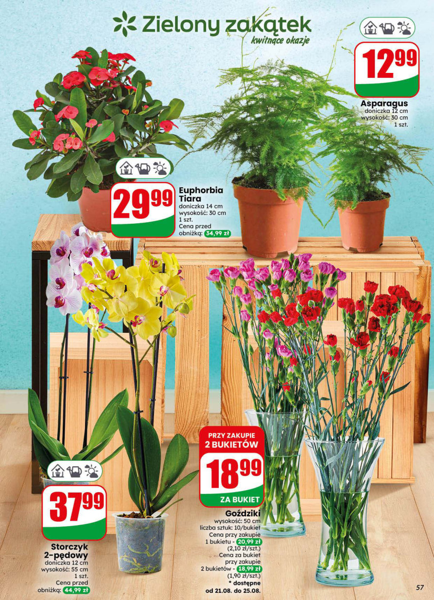Dino gazetka promocyjna 19.08-25.08.2026 — strona 57 z 77