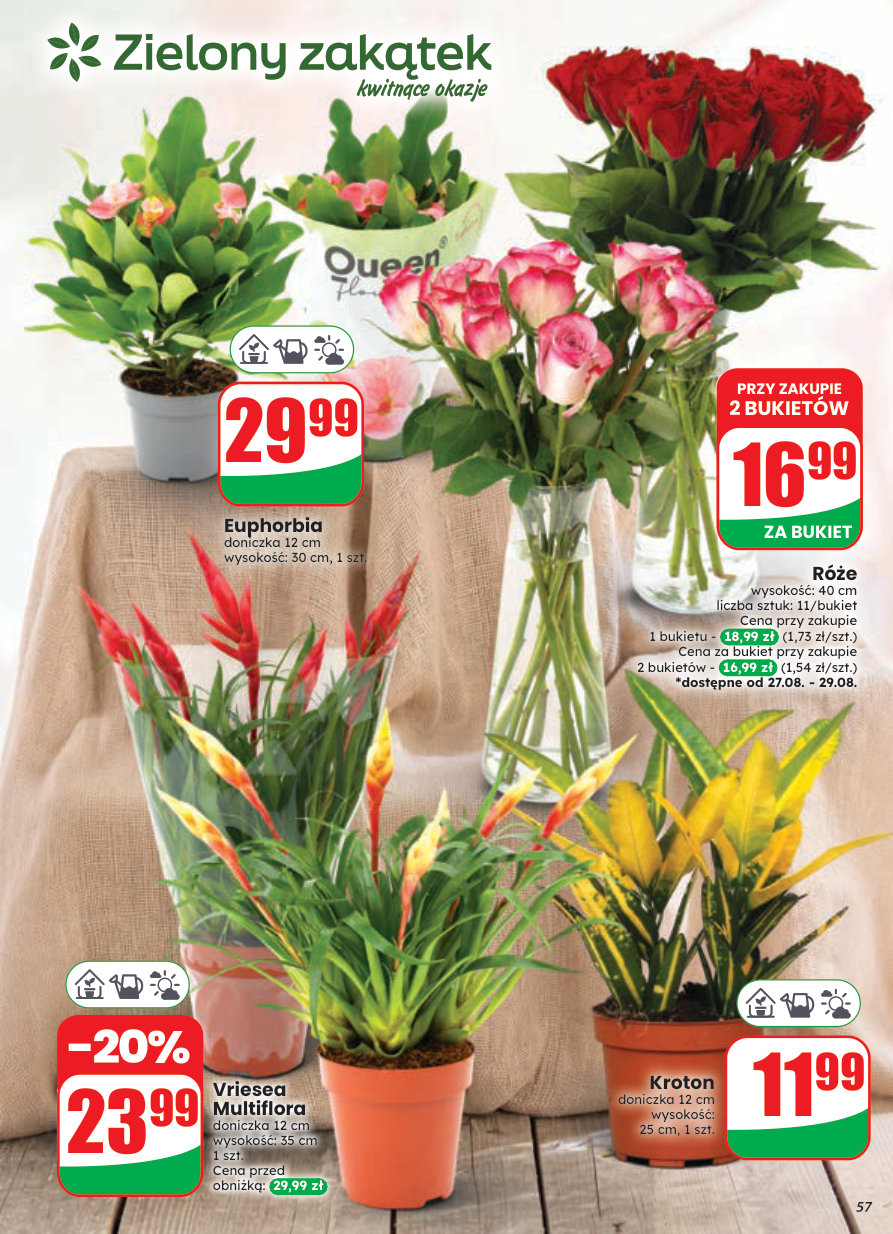 Dino gazetka promocyjna 26.08-01.09.2026 — strona 57 z 80