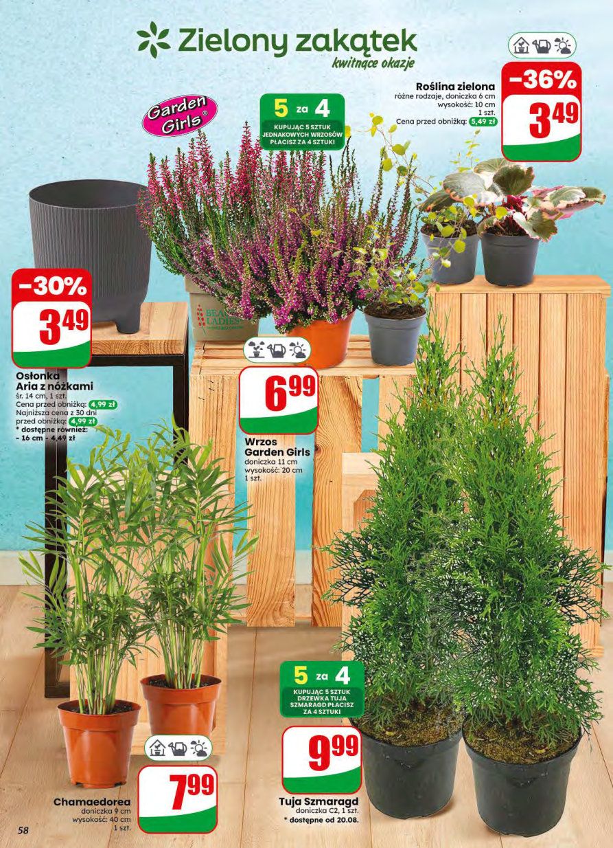 Dino gazetka promocyjna 19.08-25.08.2026 — strona 58 z 77