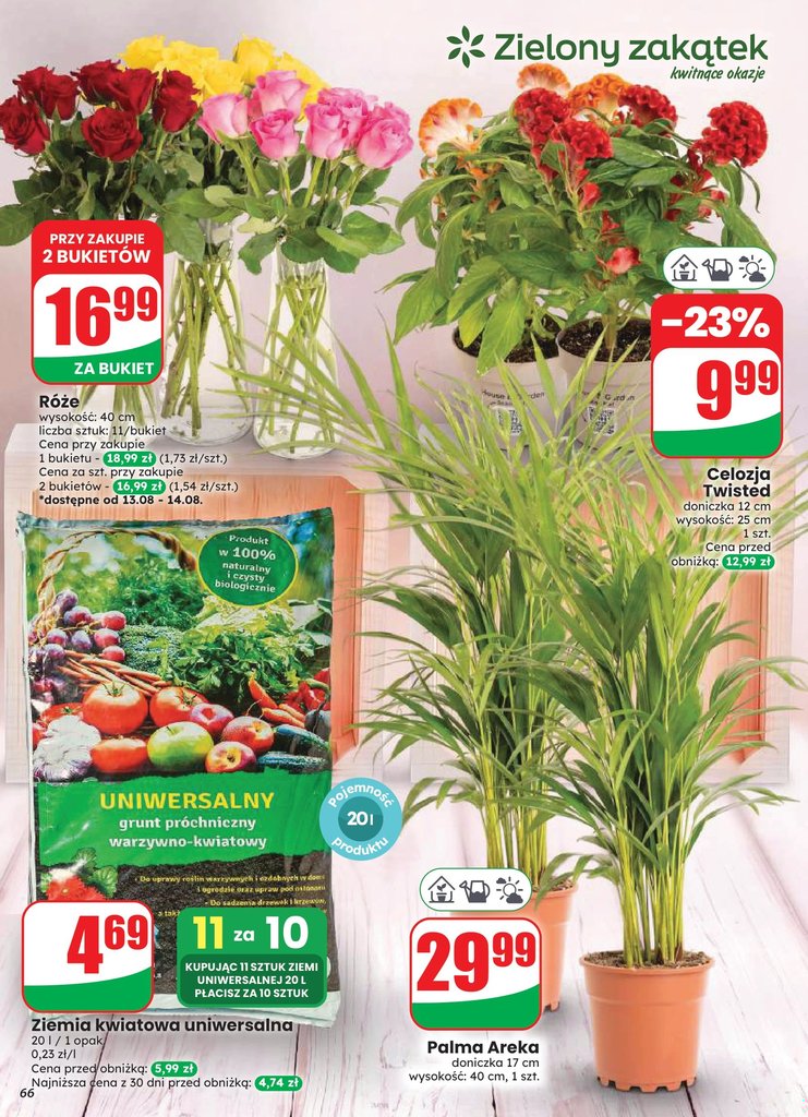 Dino gazetka promocyjna 12.08-18.08.2026 — strona 66 z 87