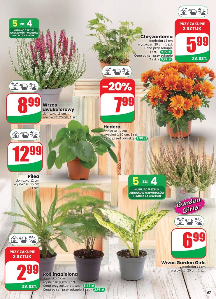 Dino gazetka promocyjna 12.08-18.08.2026 — strona 67 z 87