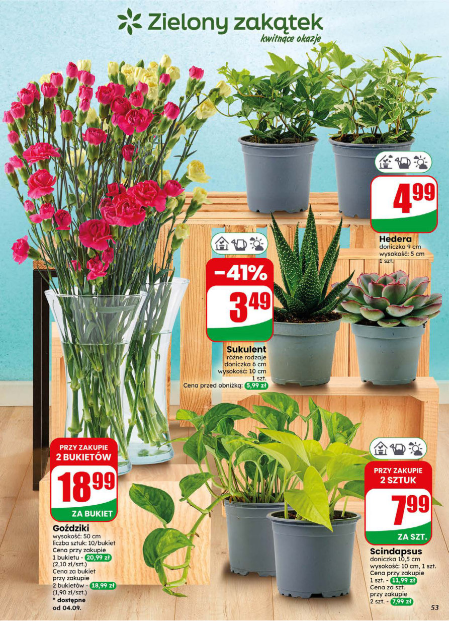 Dino gazetka promocyjna 02.09-08.09.2026 — strona 53 z 80