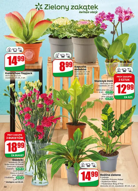 Dino gazetka promocyjna 30.09-06.10.2026 — strona 54 z 78